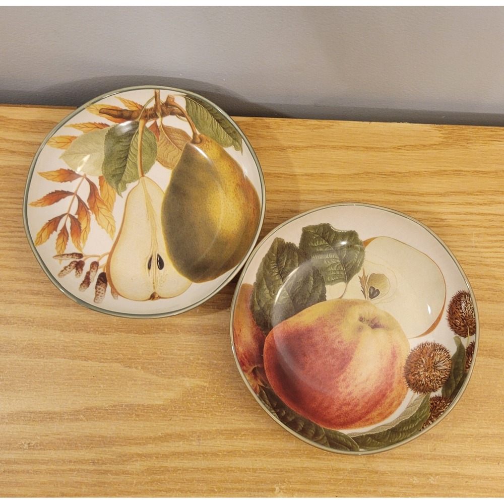 Williams-Sonoma Harvest Fruit 8" Soup Pasta Bowl Coupe Green Rim Set of 2 Italy